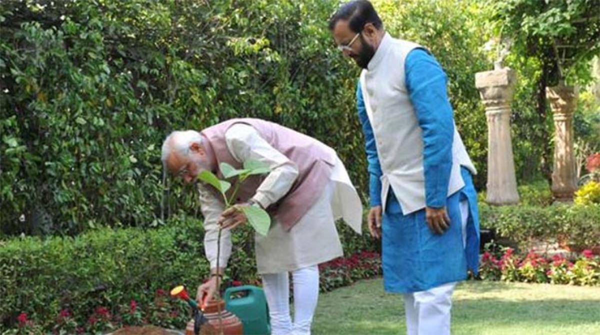 Modi plants sapling on World Environment Day